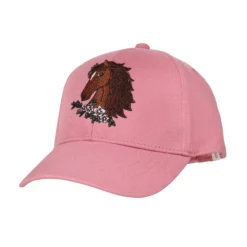 Maximo lippis Hevonen