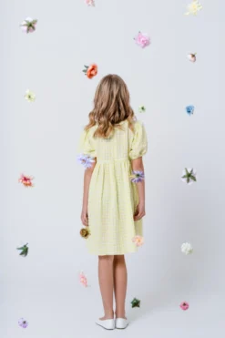 Mingnelin seersucker mekko
