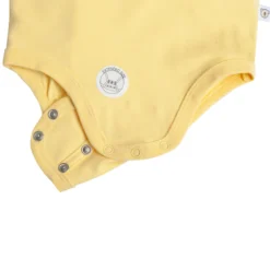 Nalle body