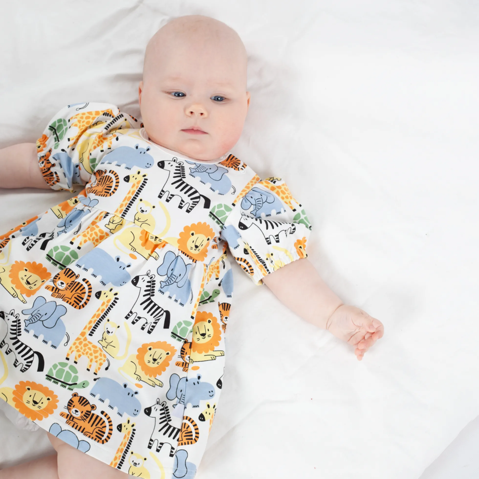 Nalle mekko